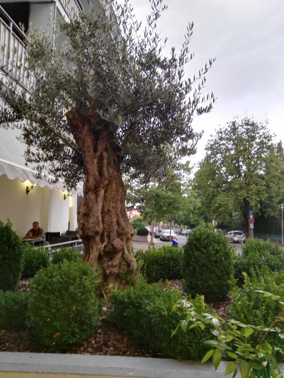 Hotel Carolinenhof Bad Pyrmont Exterior foto